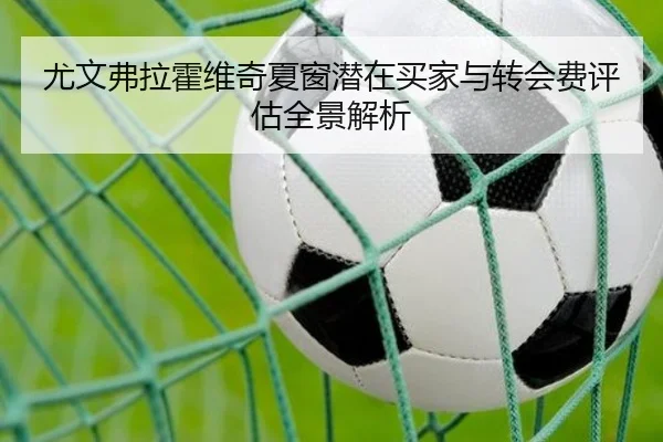 尤文弗拉霍维奇夏窗潜在买家与转会费评估全景解析